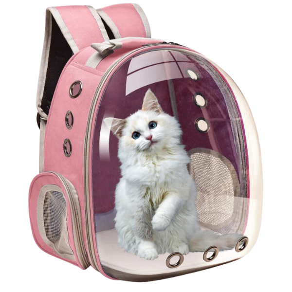 Mochila Pet Para Transporte De Cães E Gatos Visão Panorâmica